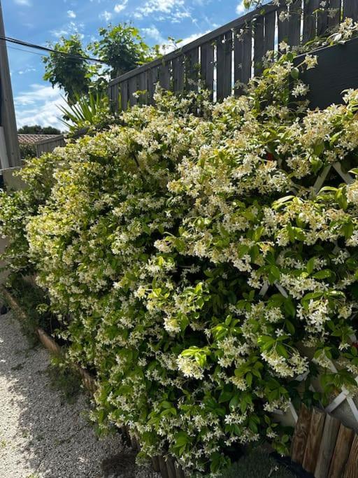 فيلا Magnifique Maison Avec Jardin مارسيليا المظهر الخارجي الصورة